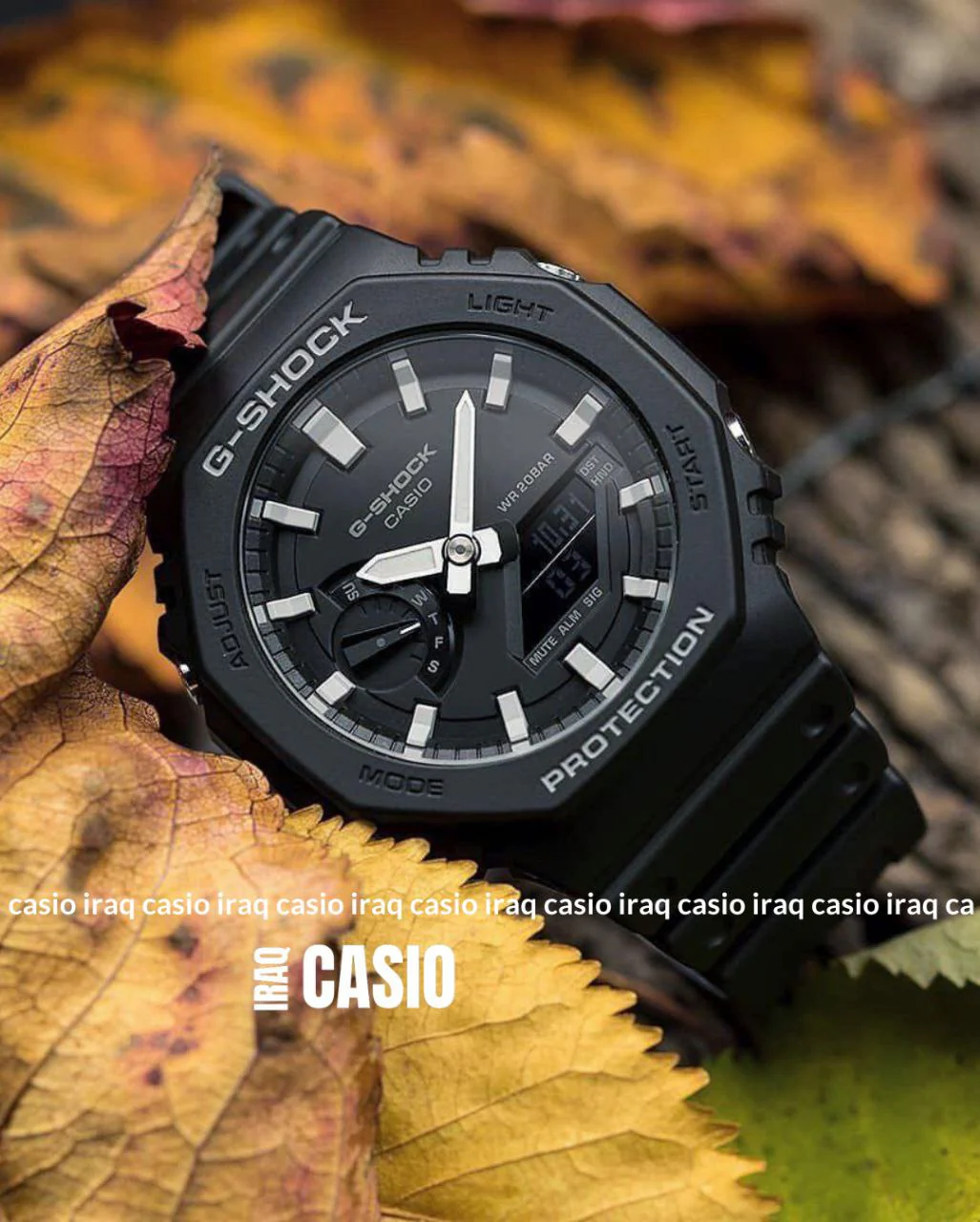 صورة مصغرة 1